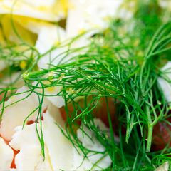 A picture of Fennel and Artichoke Salad with Grapefruit.