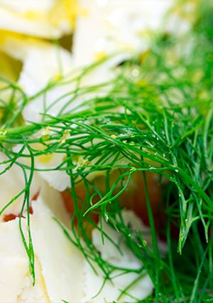 A picture of Fennel and Artichoke Salad with Grapefruit.