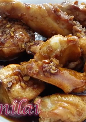 椰糖焖鸡肉 的食譜成品照片