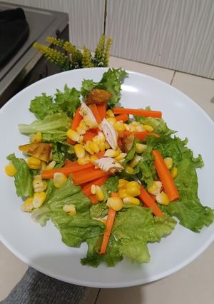Foto resep Salad Sayur tanpa saus