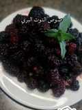 صوص التوت البري للكيك والآيس كريم ولا أسهل