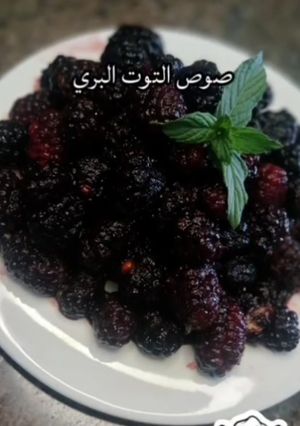 صورة لوصفة صوص التوت البري للكيك والآيس كريم ولا أسهل