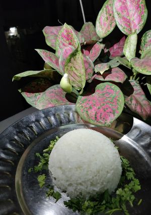 A picture of Rice.