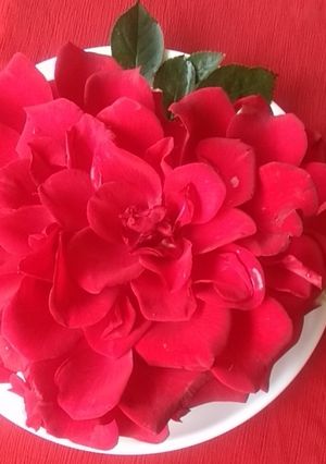 A picture of Rose Cake.