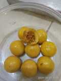 Nastar lumer