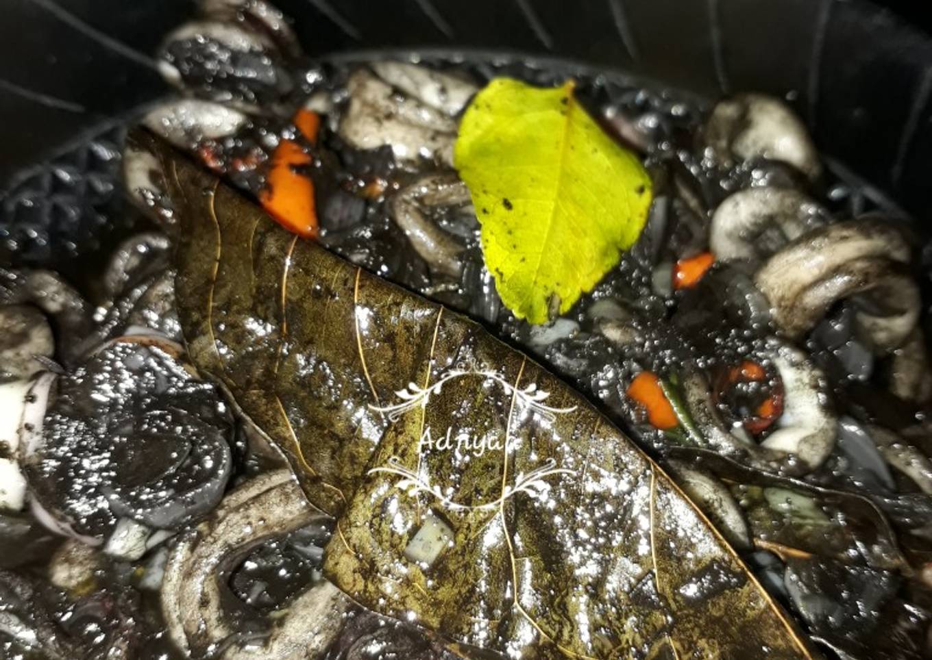 Cumi Hitam # Langkah demi Langkah # Selasa Pisa