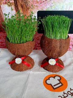 عکسی از دستور سبزه عید در پوست نارگیل