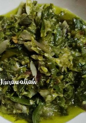 Foto resep Sambel Ijonya Rendang