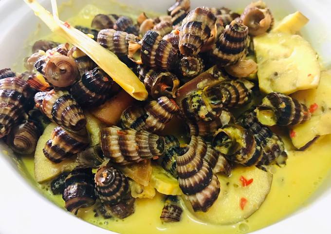 Siput sedut masak lemak cili api berserta terung