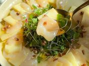 A picture of scallop appetizers