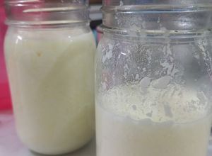 Foto resep Yogurt Homemade Susu UHT /Pasteurisasi