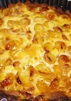 Une photo de Clafoutis aux mirabelles