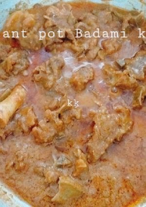 A picture of Instant pot Badami korma.