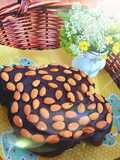 Colomba al cioccolato e mandorle