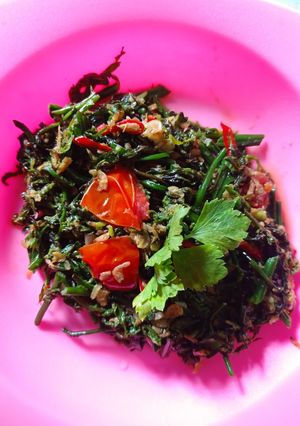 Foto resep Tumis Pakis Ebi Cabe Rawit