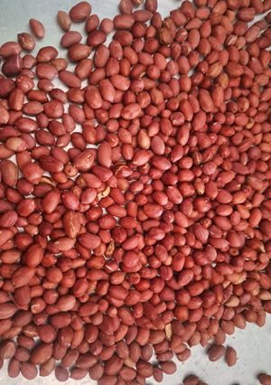 Foto resep Kacang oven