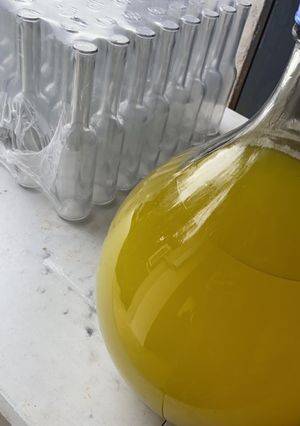 Une photo de Limoncello
