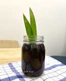 Sâm Bí Đao Hạt Chia