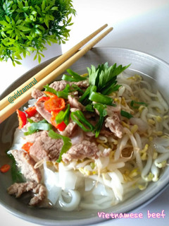 Foto resep Vietnamese beef pho