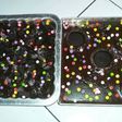 Puding brownies yummy