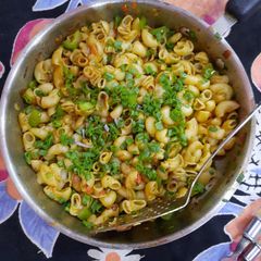 A picture of Macaroni.