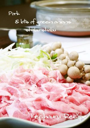 A picture of Shabu-Shabu Hot Pot with Pork and Scallions, Served with Salt.