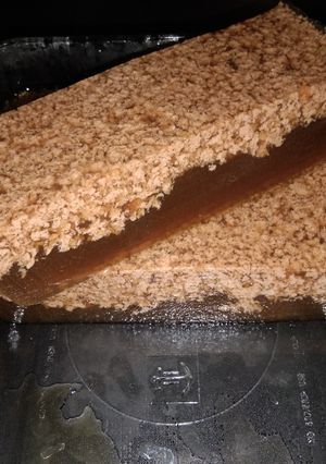 Foto resep Puding Lumut Gula Merah
