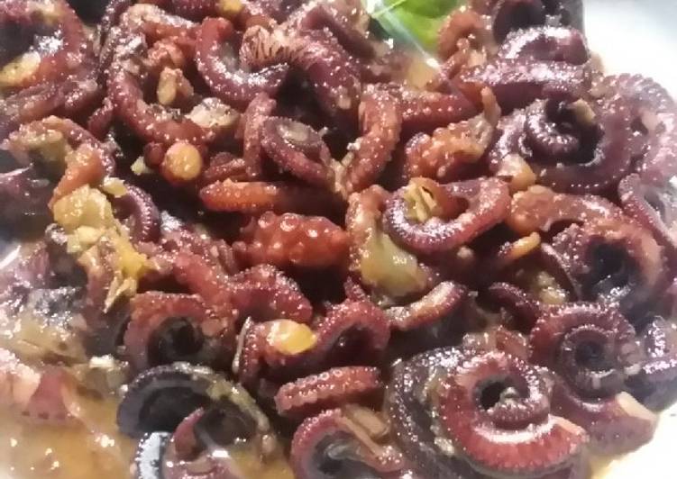 Octopus saos tiram