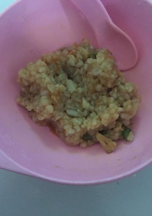 Foto resep Nasi goreng mpasi 10m+