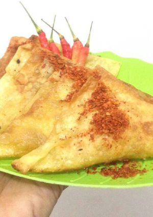 Foto resep Martabak ayam mini