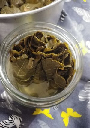 عکسی از دستور کنسرو برگ انگور