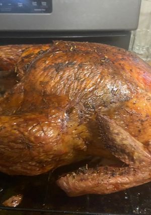 A picture of Best Thanksgiving Turkey(this is for a 20lb turkey).