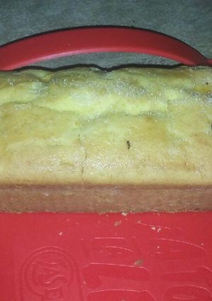 Una foto de Budín a mi manera😋