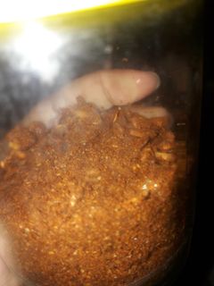 Foto resep Abon cabe