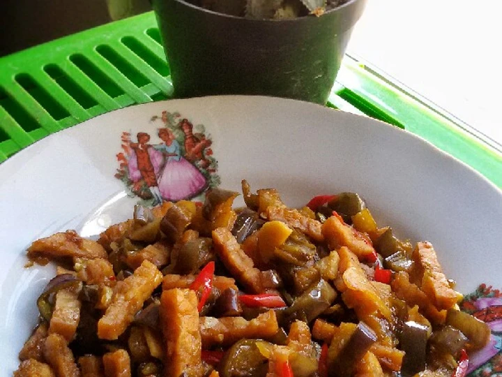 Cara Mudah Menyiapkan Resep Terong Tempe Saos Tiram yang Bikin Ngiler Anti Ribet, Sempurna