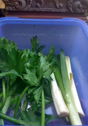 Foto resep Tips Menyimpan Seledri dan Daun Bawang