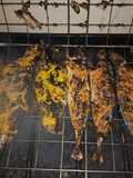 Ikan Bakar Bumbu Iloni Khas Gorontalo