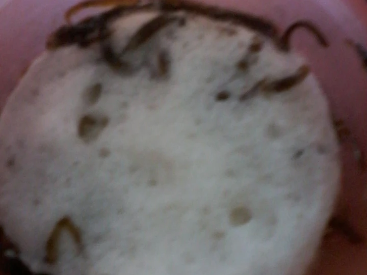 Cara Mudah Membuat Resep Es capucino cincau yang Uenak Anti Ribet, Bikin Ngiler