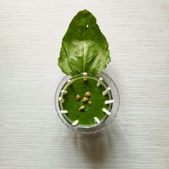 A picture of Spinach green chana soup..