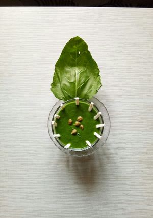 A picture of Spinach green chana soup..