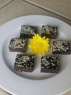 A picture of Carob Squares.