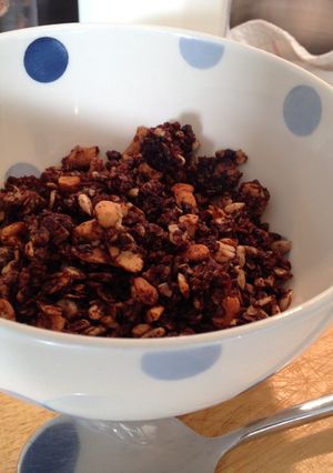 A picture of Chocolate Granola.