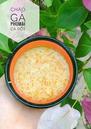 Hình của món Ăn dặm - Cháo gà Phomai cà rốt.