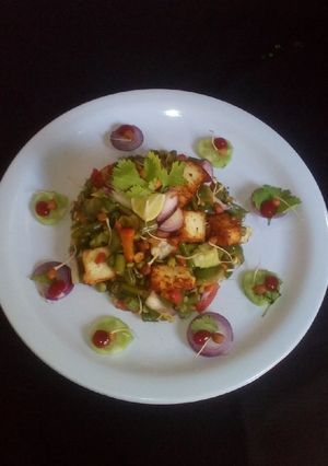 A picture of Paneer veg mix sprouts.