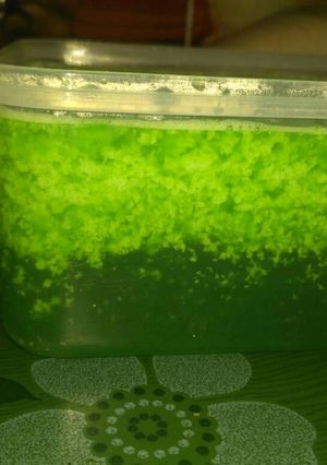 Foto resep Puding Lumut