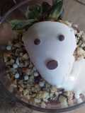 Postres individuales para Halloween