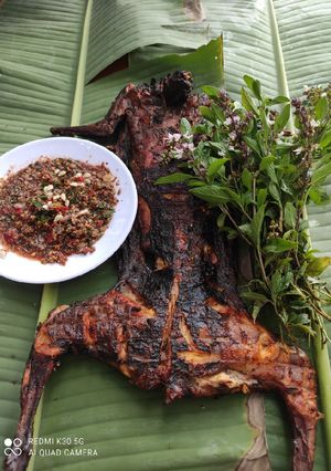 Hình của món Thỏ Nướng Sữa Sa Tế.