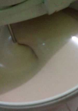 Foto resep Es krim wolles KW es krim walls