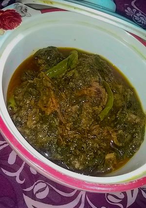 A picture of Palak gosht.