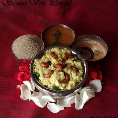A picture of Samai(Little Millet) Ven Pongal.
